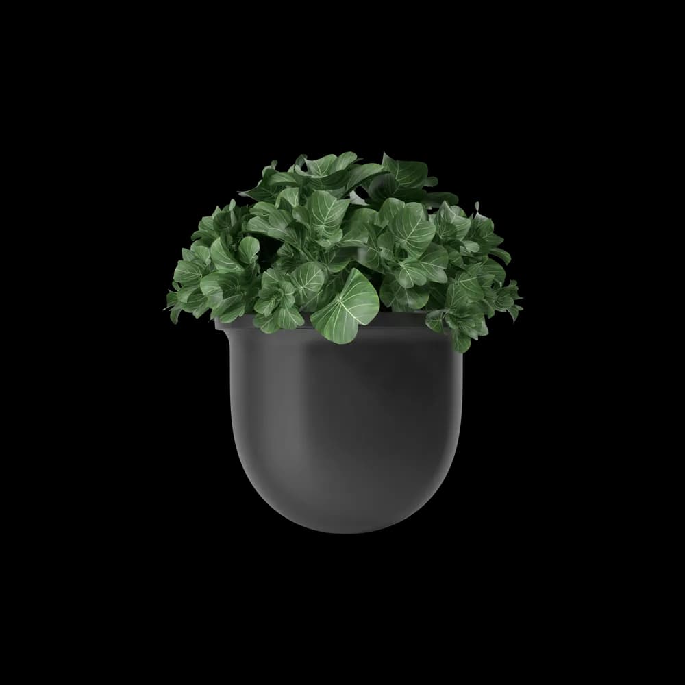 Plant Pot - 2