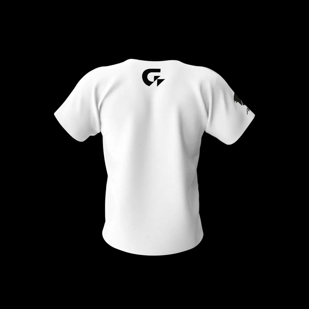 Gigabyte Aorus Men Tshirt - 3